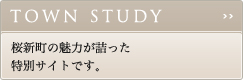 TOWN STUDY