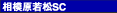 ͌ᏼSC