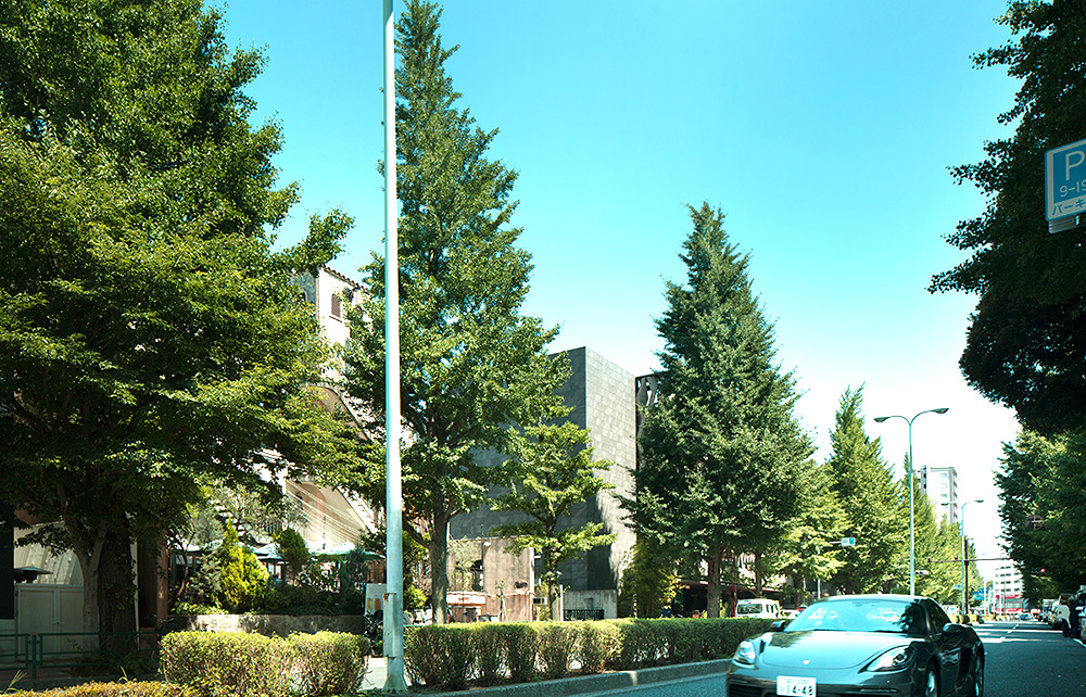 港区 プラチナ通り