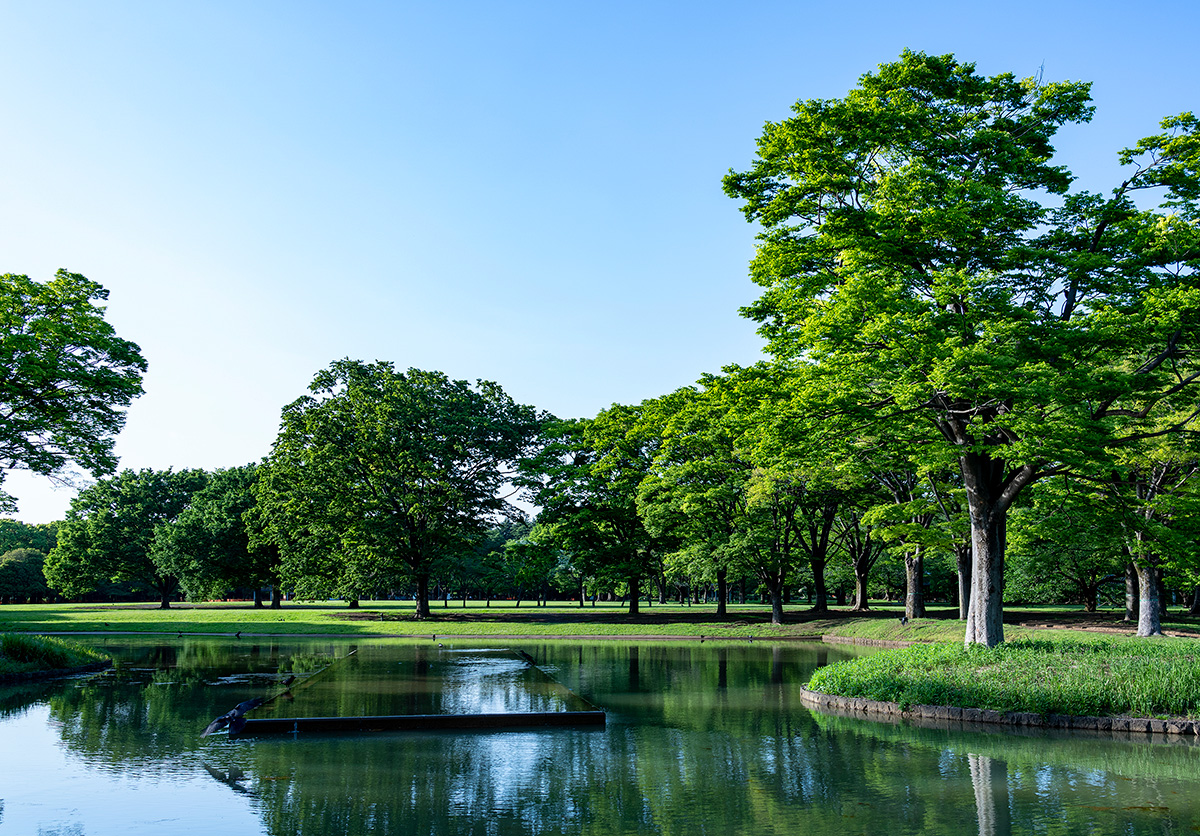 代々木公園