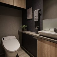 サウススクエア(二子玉川) モデルルーム・実績参考写真トイレサムネイル