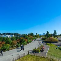サウススクエア(二子玉川) 二子玉川公園サムネイル