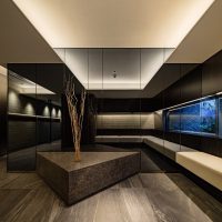 ピアース銀座8丁目 エントランスホールサムネイル