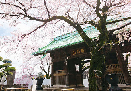 The目黒桜レジデンス 祐天寺