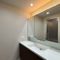 二子玉川ライズ　タワー＆レジデンス　タワーセントラル洗面サムネイル