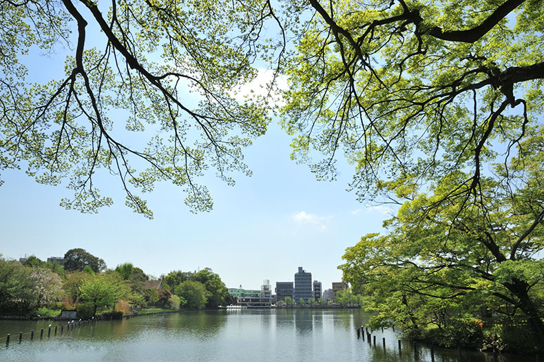 パークハウス旗の台六丁目 洗足池公園