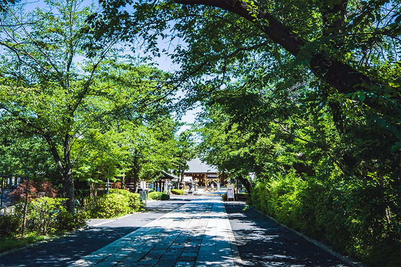 ピアース若林レジデンス 松陰神社