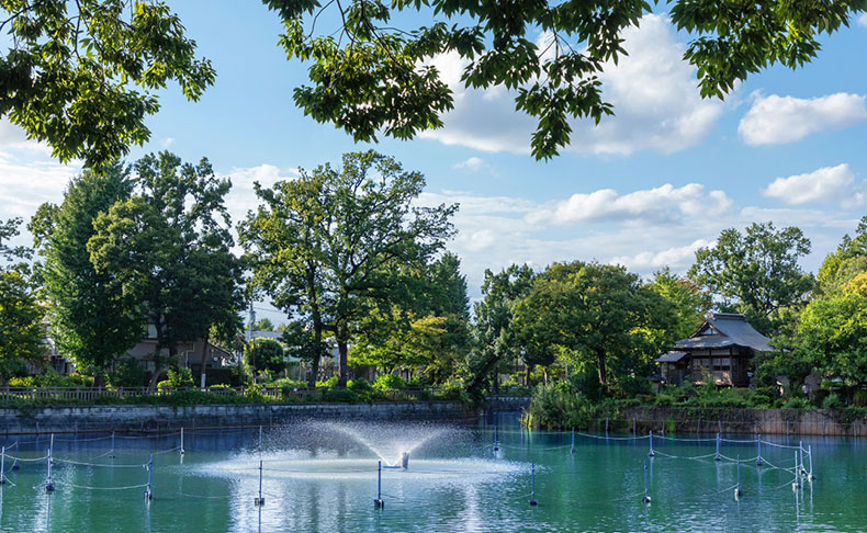 リストレジデンス八雲 碑文谷公園