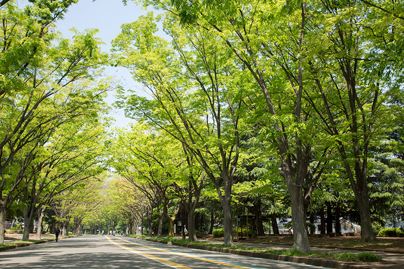リストレジデンス八雲 駒沢オリンピック公園