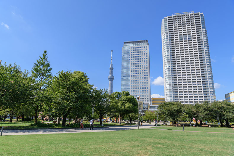 クレヴィア錦糸公園 錦糸公園