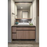 ブランズ等々力 洗面サムネイル