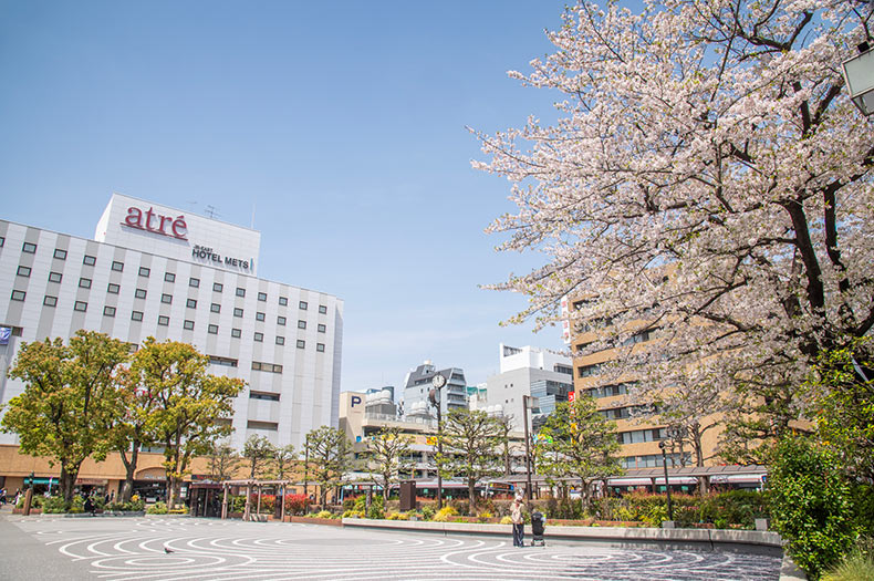 アールブラン大森山王 大森駅前
