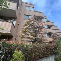 テラス早宮外観サムネイル