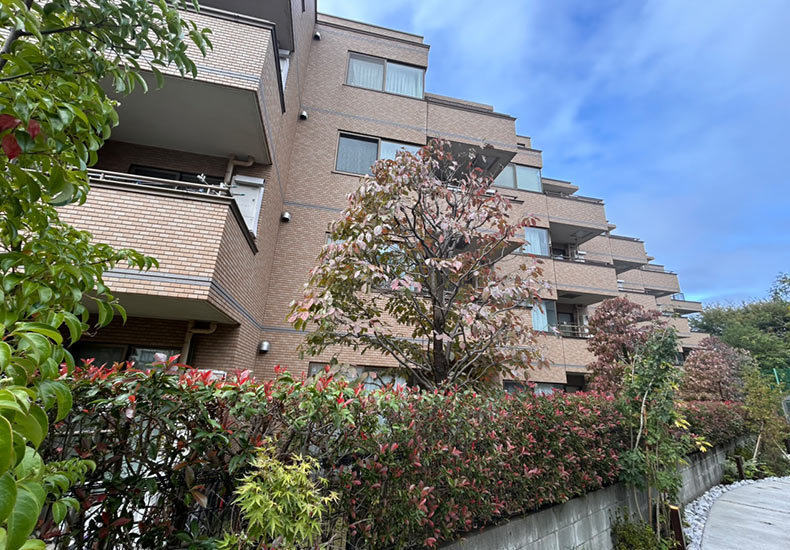 外観 テラス早宮 外観 イメージ