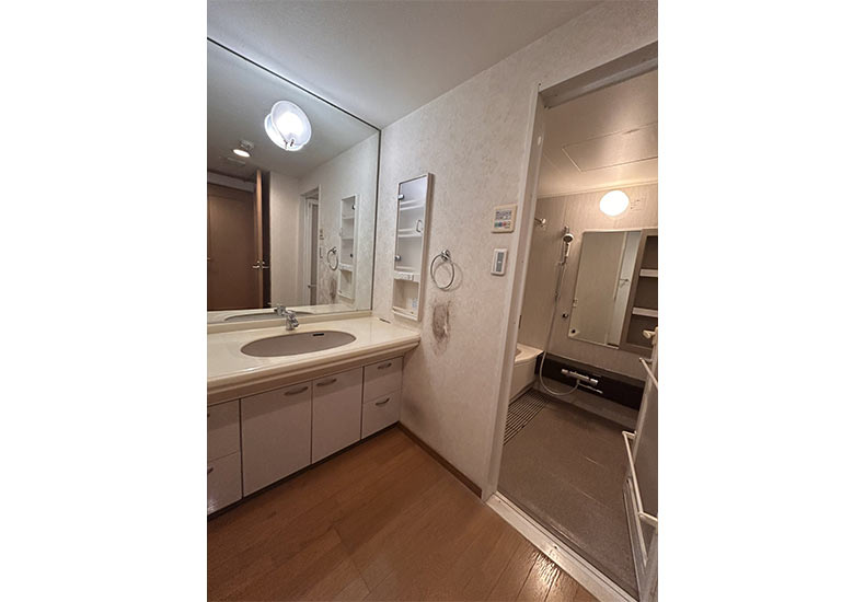 洗面 テラス早宮 洗面 イメージ