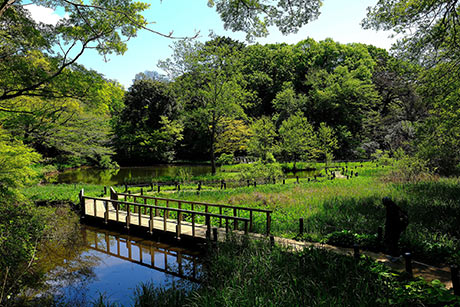 パークタワー目黒 国立科学博物館附属 自然教育園
