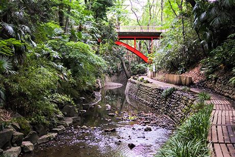 ブランズ等々力 等々力渓谷