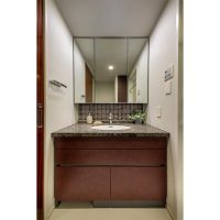 クリオ築地川公園 洗面サムネイル