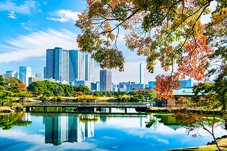 クリオ築地川公園 浜離宮恩賜庭園