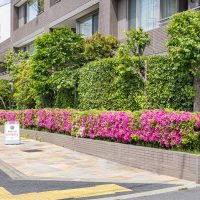 ディアナコート碑文谷イーストアベニュー 外観サムネイル