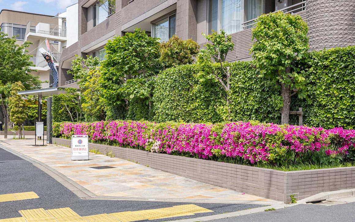 ディアナコート碑文谷イーストアベニュー 外観 イメージ