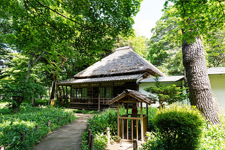 クレッセント芦花公園 蘆花恒春園