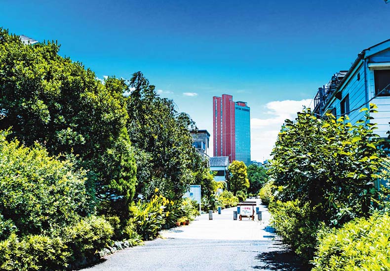 ピアース若林レジデンス 烏山川緑道