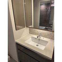 ディアナコート二子玉川翠景(38.76㎡)洗面サムネイル