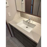 ディアナコート二子玉川翠景(70.70㎡)洗面所サムネイル