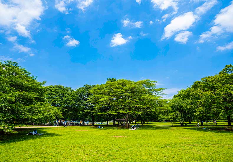 デュアリス用賀