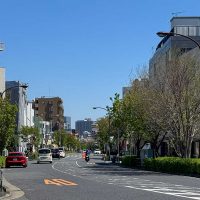 アトラス目黒本町 前面道路サムネイル