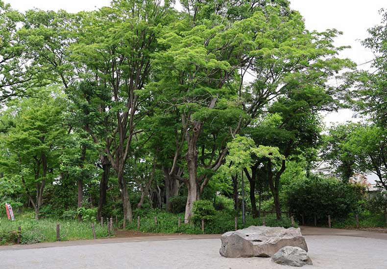 アールブラン千鳥町