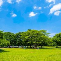 デュアリス用賀 砧公園/徒歩15分サムネイル