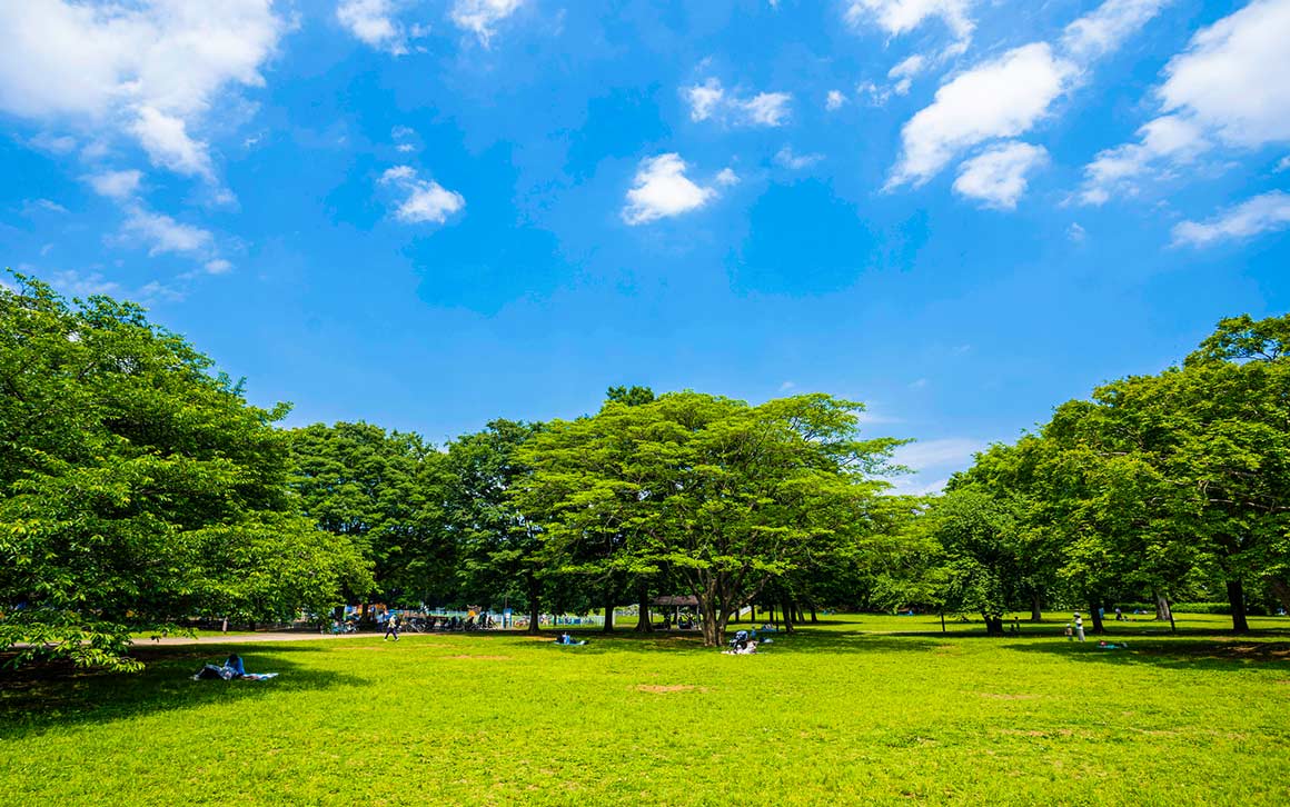 デュアリス用賀 砧公園/徒歩15分 イメージ