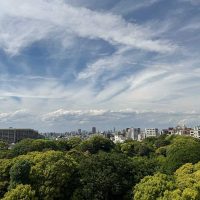 ブランズ六義園アヴェニュー 眺望サムネイル