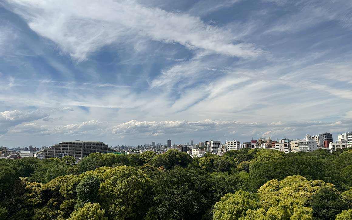 ブランズ六義園アヴェニュー 眺望 イメージ