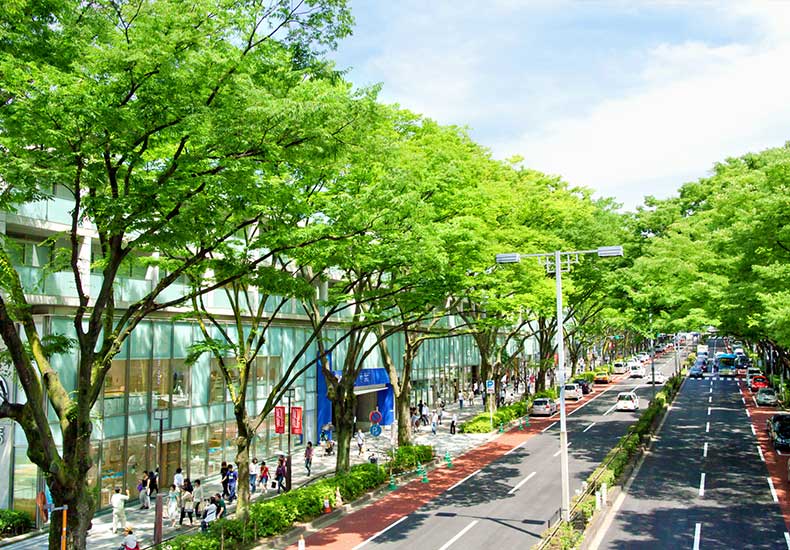 ヴィークコート原宿Hills