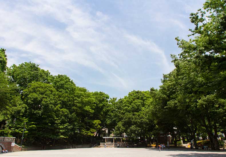 アールヴェール文京大塚公園