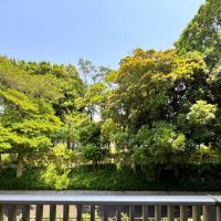 しながわ公園パークホームズ 窓の向こうには、四季折々に表情を変える「しながわ区民公園」の豊かな緑が広がりますサムネイル