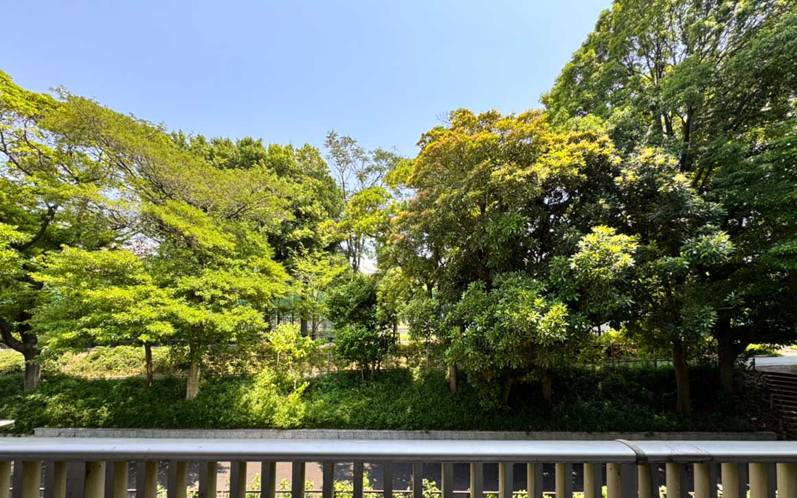 窓の向こうには、四季折々に表情を変える「しながわ区民公園」の豊かな緑が広がります しながわ公園パークホームズ 窓の向こうには、四季折々に表情を変える「しながわ区民公園」の豊かな緑が広がります イメージ