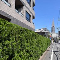 ヴィークコート原宿Hills 外観サムネイル