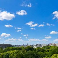 ブランズ六義園アヴェニュー 眺望サムネイル
