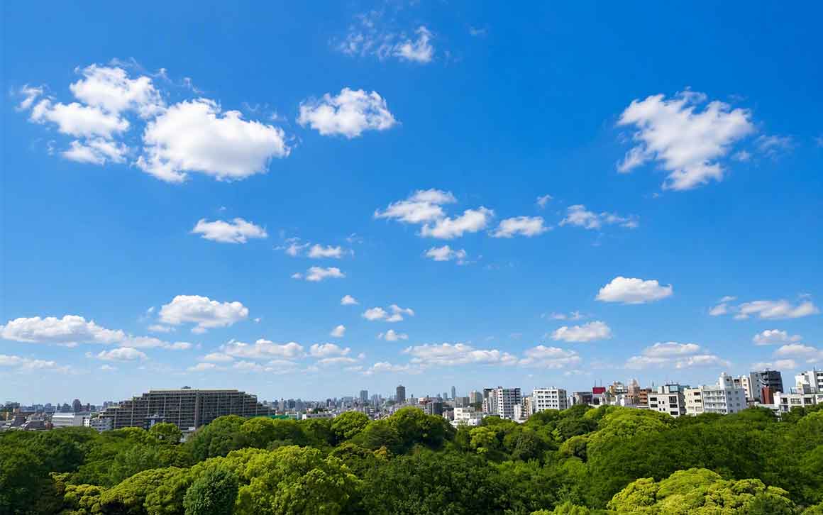 眺望 ブランズ六義園アヴェニュー 眺望 イメージ