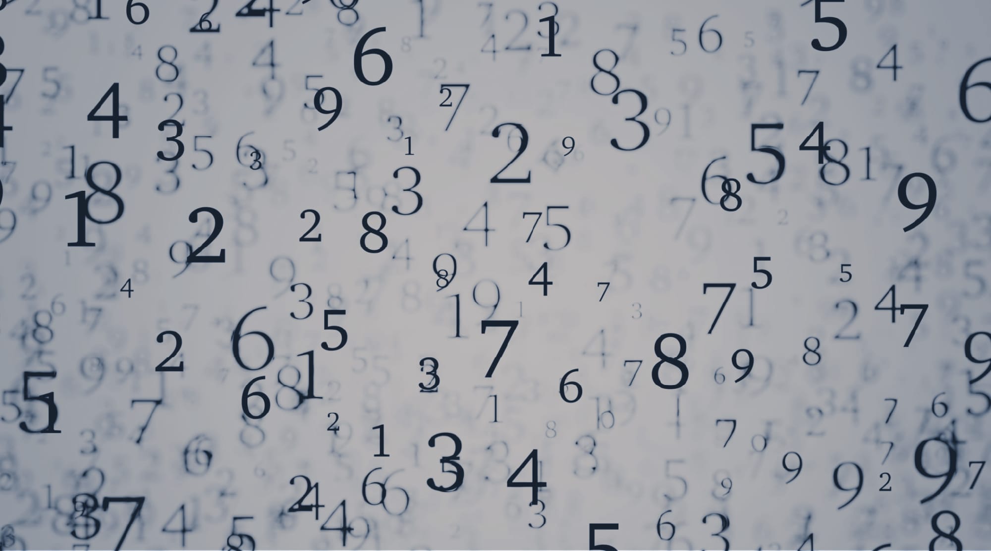 数字で見るモリモト