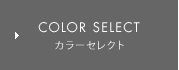 COLOR SELECT