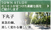 TOWN STUDY