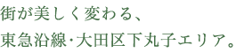 XςA}Ec扺ێqGA
