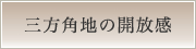 Opn̊J