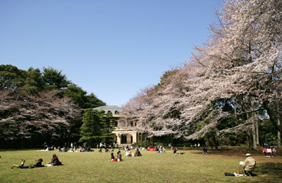 駒場公園