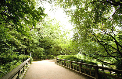 駒場野公園